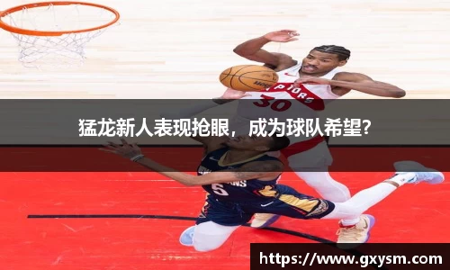猛龙新人表现抢眼，成为球队希望？