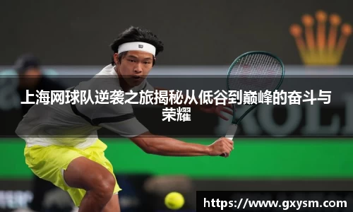 上海网球队逆袭之旅揭秘从低谷到巅峰的奋斗与荣耀