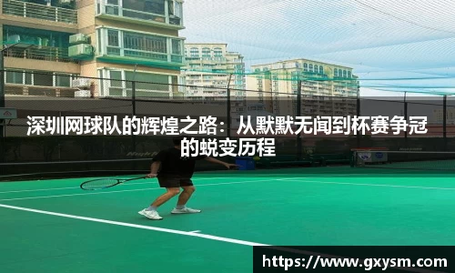 深圳网球队的辉煌之路：从默默无闻到杯赛争冠的蜕变历程