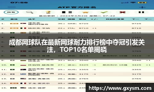成都网球队在最新网球耐力排行榜中夺冠引发关注，TOP10名单揭晓